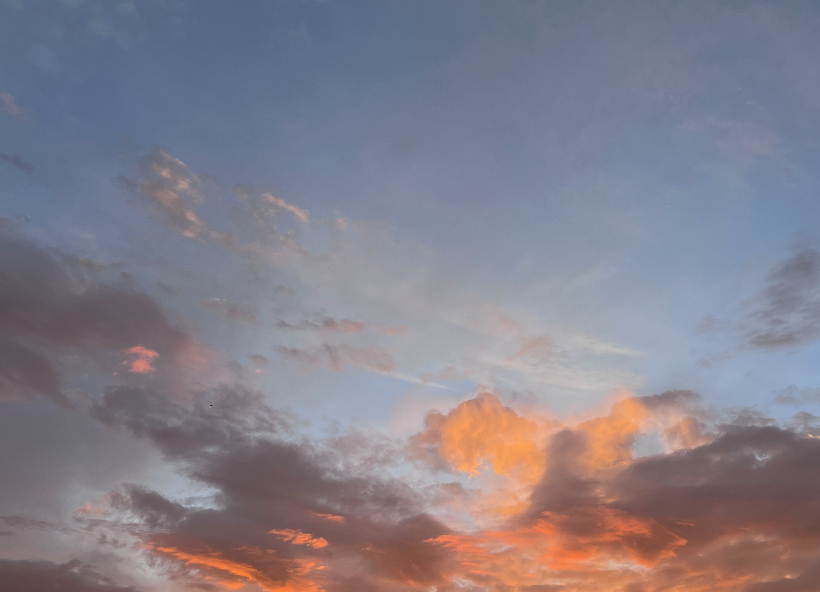 A Colorado dawn sky with clouds